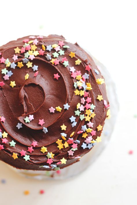 Star Sprinkle Cake, Chocolate Cake Decoration Sprinkles, Sprinkles Inside Cake, Best Chocolate Frosting Recipe, Chocolate Birthday Cake With Sprinkles, Round Sprinkle Birthday Cake, Painting Skies, Sprinkles Cake, Cake Cream