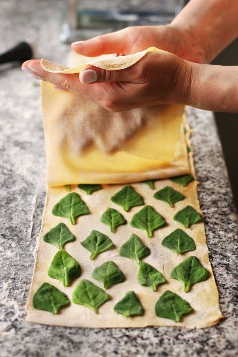 Homemade Pasta Dough, Pasta Dough Recipes, Pasta Art, Homemade Pasta Recipe, Pasta Fatta In Casa, Making Pasta, Homemade Pastries, Pasta Dough, Spinach Pasta