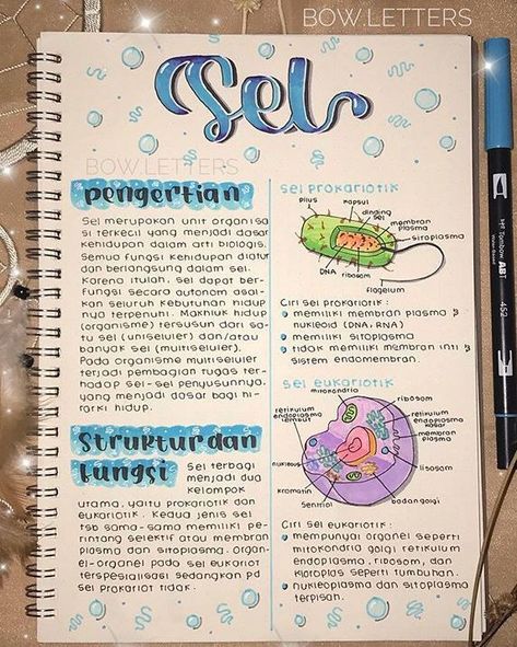 Pelajaran Ipa, Aesthetic Writing, School Study Ideas, School Organization Notes, Science Notes, Biology Notes, Study Journal, Pretty Notes, Notes Inspiration