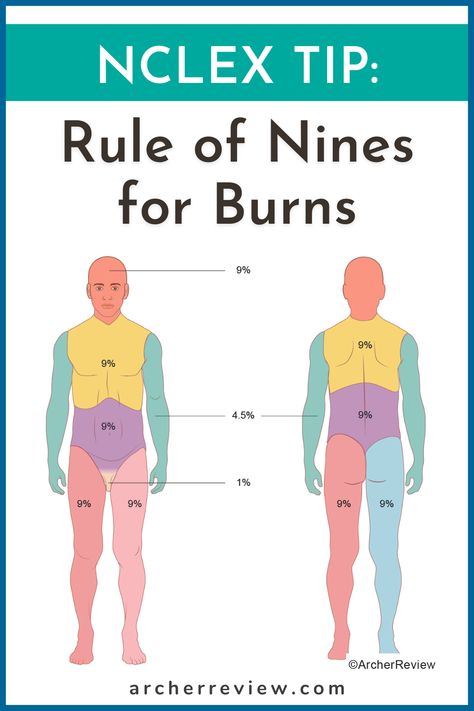 NCLEX TIP! The rule of nines is a quick, simple tool for estimating the total body surface area (TBSA) involved when a client presents with burns. Follow Archer Review for more NCLEX tips like this! Rule Of Nines For Burns, Nclex Tips, Rule Of Nines, Nclex Review, Nclex Prep, Nclex Study Guide, Nclex Exam, Nursing Board, Nclex Study