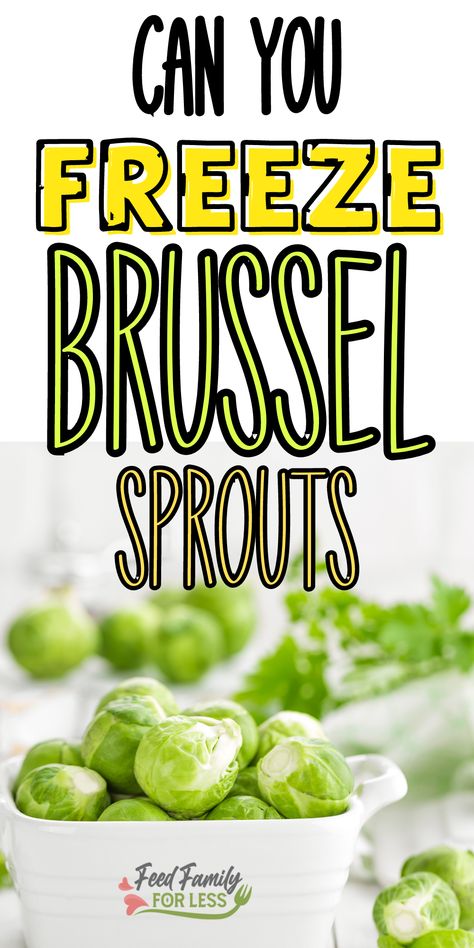 How Do You Freeze Fresh Brussel Sprouts, Can You Freeze Brussel Sprouts, Freezing Fresh Brussel Sprouts, How To Freeze Brussel Sprouts, Fresh Brussel Sprouts, Raw Brussel Sprouts, Steamed Brussel Sprouts, Freeze Vegetables, Freezing Veggies