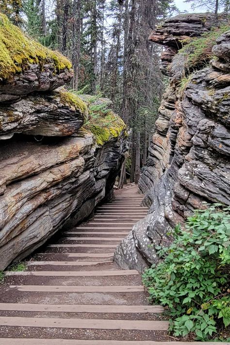 Banff To Jasper Drive - 20 Best Stops On The Way - Forever Karen Jasper National Park Canada, Alberta Travel, Channel Islands National Park, Visit Yellowstone, Canada National Parks, Canadian Travel, Jasper National Park, Capitol Reef National Park, Hiking National Parks