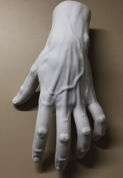 Hand Kunst, Hand Anatomy, Man Sculpture, Man Hand, Anatomy Sculpture, Classic Sculpture, Sculpture Art Clay, Human Anatomy Drawing, Hand Drawing Reference