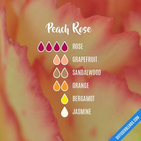 Peach Rose essential oil blend Candles With Essential Oils, Essential Oil Perfumes Recipes, Essential Oil Combinations, Essential Oil Diffuser Blends Recipes, Perfume Recipes, Essential Oils Guide, Essential Oil Diffuser Recipes, Oil Diffuser Recipes, Essential Oil Mixes