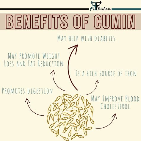 Cumin is a spice made from the seeds of the Cuminum cyminum plant. It has been used in traditional medicines and has alot of health benefits. Let us see some of the health benefits of cumin.  #fithaihum Benefits Of Cumin, Health Benefits Of Cumin, Water Benefits, Fat Reduction, Traditional Medicine, Cummins, Health Benefits, Medicine, Seeds