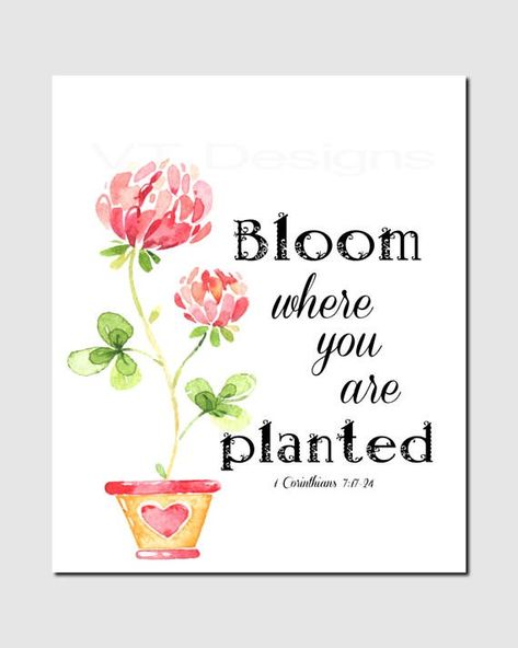 Verses About Flowers, Spring Scripture, Trendy Plants, Bloom Where Youre Planted, Plants Quotes, Quotes Bible, Bloom Where You Are Planted, Garden Quotes, Flower Quotes