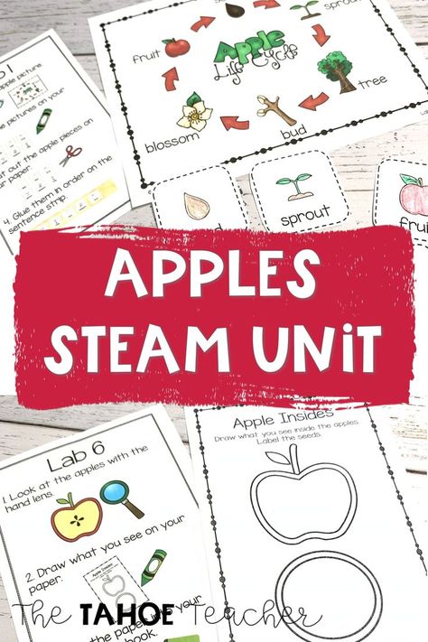 Your kindergarten and first grade students will love exploring apples with their five senses and using science tools in this engaging apple STEM/STEAM/ science station unit. Students weigh apples, explore them, measure them, learn about their life cycle and more. Makes a great fall science unit. Apple Science, Fall Science, Science Stem, Steam Science, Apple Stem, Science Tools, Stem Steam, Five Senses, Life Cycle