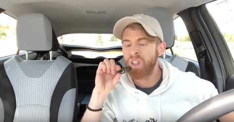 Eating a zebra tarantula - Brandon Farris Brandon Farris, Fan Boy, Clean Funny, Best Youtubers, Zebras, Funny Stuff, Youtubers, Influencer, Fish