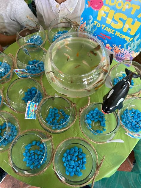 Before you swim away....Adopt a fish to take home! Adopt A Fish Party Favor, Adopt A Sea Creature Party Favor, Nemo Party Favors, Fishing Party Favors, Nemo Party, Animal Party Favors, Pet Party, 2nd Birthday Boys, Adoption Party