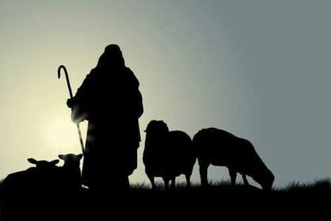 Shepherd And Sheep, Good Shepard, The Good Shepherd, Psalm 23, The Shepherd, Holy Spirit, Word Art, Psalms, Human Silhouette