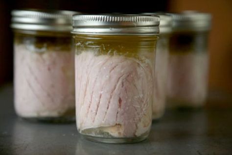 Albacore Tuna Recipes, How To Make Tuna, Easy Canning, Bluefin Tuna, Fresh Tuna, Yellowfin Tuna, Albacore Tuna, Pressure Canner, Tuna Fish