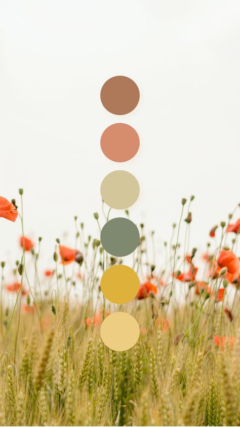 Fun Earthy Color Palette, Copper Spring Color Palette, Color Palettes Design, Wildflower Color Scheme, Botanical Color Palette, May Color Palette, Whimsical Color Palette, Colorful Minimalism, Website Color Palette