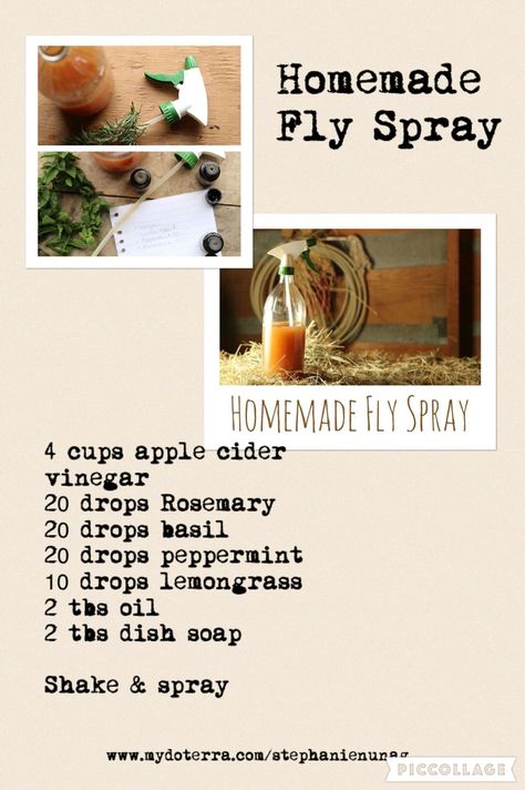 DIY homemade fly spray for horses.  #doterraessentialoil  www.mydoterra.com/stephanienunag Horse Fly Spray, Homemade Fly Spray, Fly Spray For Horses, Fly Spray, Horse Care Tips, Homesteading Diy, Horse Info, Horse Ideas, Horse Fly