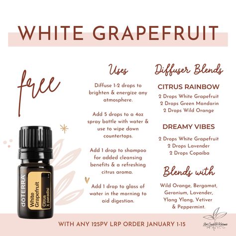 Grapefruit Uses, White Grapefruit, Essential Oils Video, Doterra Diffuser, Doterra Oil, Doterra Essential Oils Recipes, What Are Essential Oils, Citrus Oil, Wild Orange