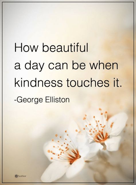 Quotes How beautiful a day can be when kindness touches it. How To Believe, Inspirerende Ord, Kindness Quotes, Day Quotes, Uplifting Quotes, Random Acts Of Kindness, Wise Quotes, A Quote, Thoughts Quotes