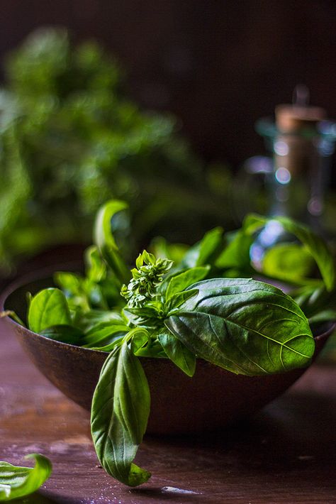 Basils...  #foodphotography #foodstyling #stilllife #photography #leaves #basil #green #ingredients Fresh Vegetables Photography, Basil Photography, Basil Aesthetic, Veggies Photography, Herbs Photography, Vegetable Photography, Herb Photography, Stilllife Photography, Ingredients Photography