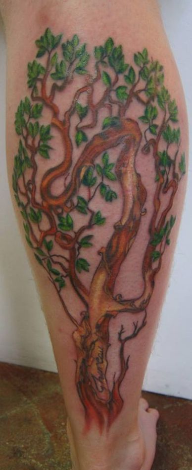 Arbutus Tree Tattoo, Arbutus Tree, Watercolour Tattoo, Leg Tattoo, Tree Tattoo, Leg Tattoos, Watercolor Tattoo, Tatting, Tattoo Ideas