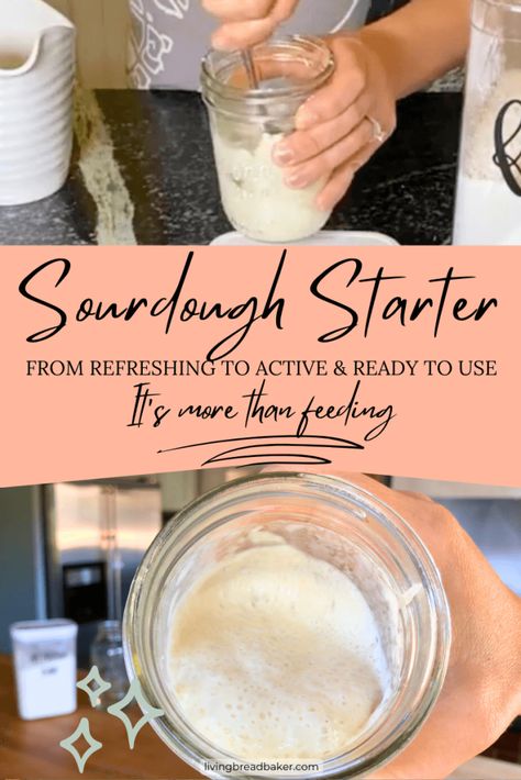 How to Know When your Sourdough Starter is Ready (8 signs) Maintain Sourdough Starter, Soft Sourdough Bread, Hokkaido Milk Bread, Starter Cultures, Cinnamon Twists, Sandwich Bread Recipes, Wild Yeast, Bread Baker, Sourdough Baking