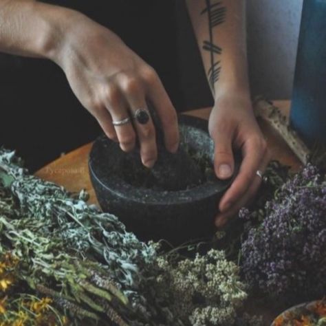 I going lavender and dried roses, this way I can put bags of it in my closet, it soothes me and it smells good. 🌸💜🌹 Tell me in comments what's your favorite herbal blend ? 😍 . . . #herbal #witchcraft #witchy #witchery #witch #witches #witchaesthetic #witching #witchytips #greenwitchcraft #witchtips #witchspells #witchlifestyle #modernwitch #lavender #witchesofinstagram Freya Mikaelson Aesthetic, Freyja Aesthetic, Freya Aesthetic, Herbs Witch, Mikaelson Aesthetic, Freya Mikaelson, The Mikaelsons, W.i.t.c.h Aesthetic, Green Witchcraft