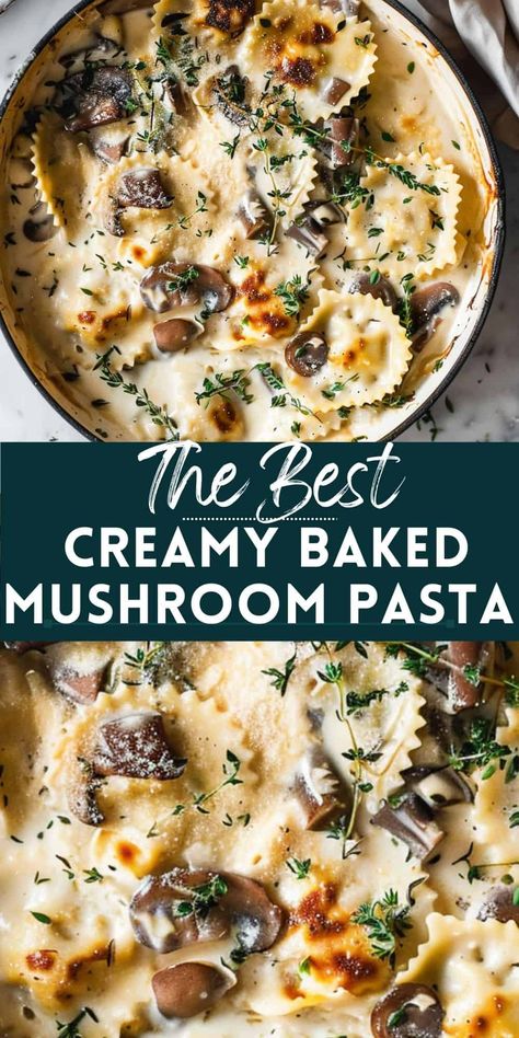 Try this easy mushroom pasta bake for a quick and easy weeknight dinner. This creamy mushroom pasta bake is perfect for vegetarian pasta bake lovers. It's one of the best easy weeknight dinners and easy family dinner ideas! One Pot Pasta Mushroom, Baked Mushroom Pasta, Mushroom Pasta Recipes Creamy, Pasta Bake No Cheese, Mushroom Cheese Pasta, Stuffed Shells Mushroom, Mushrooms And Pasta Recipes, Creamy Baked Pasta Recipes, Pasta With Mushrooms Recipes