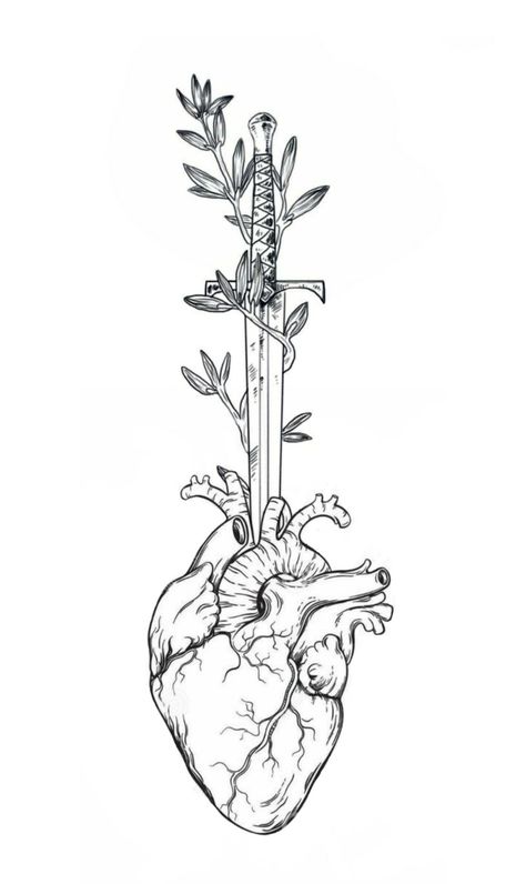 Heart Dagger Tattoo, Anatomical Heart Drawing, Anatomy Tattoo, Heart Organ, American Street Style, Skull Girl Tattoo, Anatomical Heart Tattoo, Dagger Tattoo, Meaningful Drawings