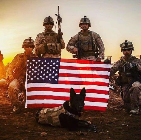 Dog Soldiers, Us Army Rangers, Army Usa, Patriotic Pictures, Army Images, Usa Army, Military Flag, Army Pics, Army Rangers