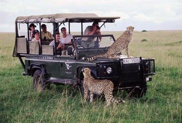 Masimba Hills Safaris - travel tips for women Masai Mara Safari, Lion Safari, Chobe National Park, Mount Kenya, Tanzania Travel, Kenya Safari, Safari Travel, Safari Lodge, Wildlife Safari