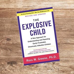 The Explosive Child by Ross W. Greene | Direct Instruction, Challenging Behaviors, Learning Disabilities, Parenting Styles, Teaching Strategies, Problem Solving Skills, Kids Reading, Early Childhood Education, Coping Skills