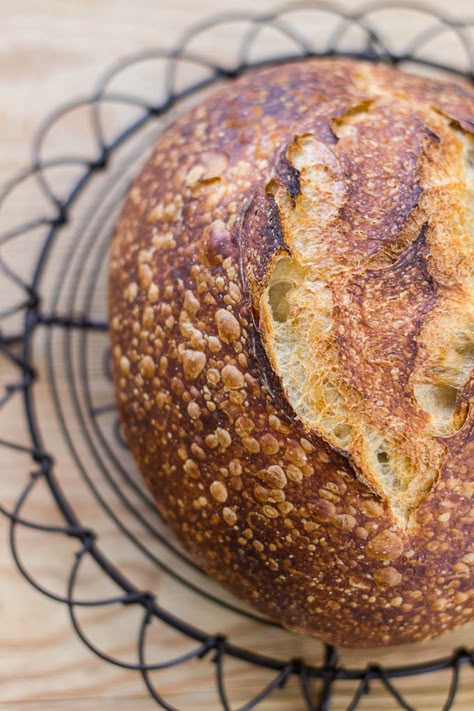 Beginner Sourdough Bread Update | The Clever Carrot Recipes Using Sourdough Starter, Sourdough Basics, Einkorn Sourdough, The Clever Carrot, Clever Carrot, Baking Bread At Home, Using Sourdough Starter, Natural Yeast, Sourdough Bread Recipes