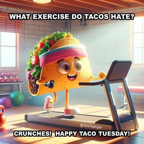 Happy Tuesday Funny Hilarious, Happy Taco Tuesday Funny, Happy Tuesday Funny, Taco Tuesday Humor, Happy Monday Images Funny, Taco Tuesday Quotes, Funny Taco Tuesday, Tuesday Quotes Funny, Funny Tuesday