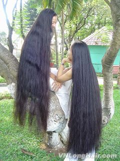 Long Haired Women Hall of Fame: Lam & Hoai Women With Long Hair, Long Hair Ponytail, Long Hair Models, Extremely Long Hair, Rapunzel Hair, Face Shape Hairstyles, Long Hair Pictures, Really Long Hair, Long Hair Video