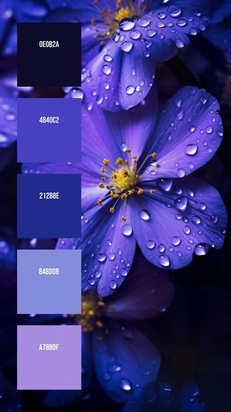 Colors:
0E0B2A
4840C2
212B8E
848DDB
A78BDF Petals Drawing, Natural Portrait, Pantone Color Chart, Color Theory Art, Deep Winter Colors, Purple Color Palettes, Hex Color Palette, Winter Wedding Colors, Color Schemes Colour Palettes