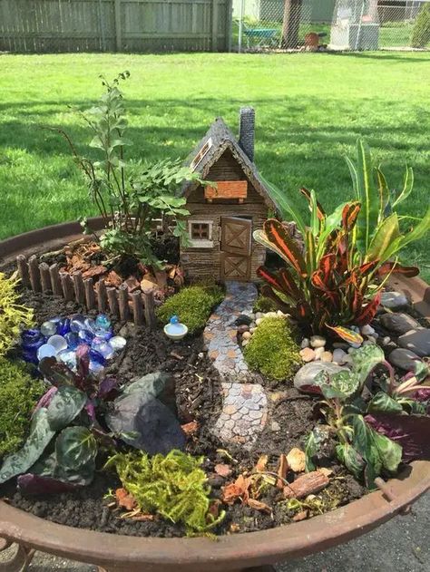 Fairy Garden Containers, Indoor Fairy Gardens, Diy Gnome, Fairy Garden Plants, Garden Houses, Fairy Garden Designs, Fairy Garden Crafts, Mini Fairy Garden, Garden Mini