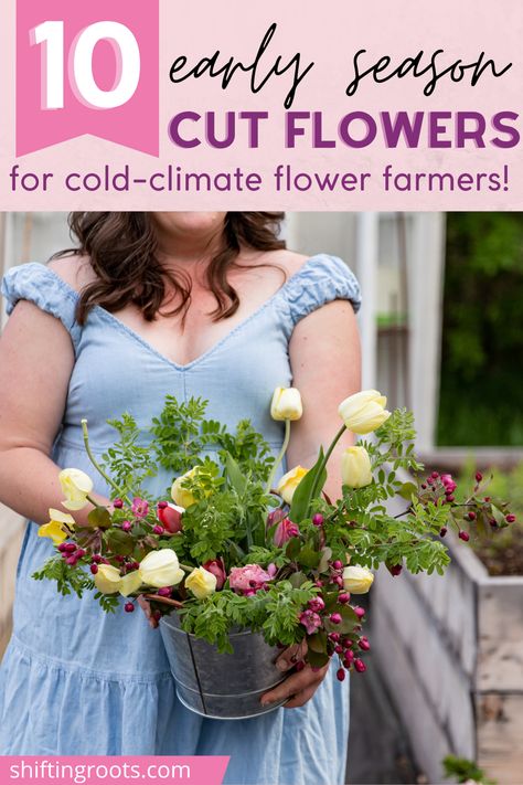 If you're a cold climate flower farmer or cut flower gardener, ensure early blooms for beautiful bouquets with these 10 early season cut flowers! Spring Cut Flowers, Early Spring Bouquet, Selling Flowers At Farmers Market, Farm Essentials, Flower Container Garden, Flower Farms, Farmers Market Flowers, Flowers Last Longer, Flower Calendar