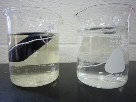 Super simple way to demonstrate osmosis, diffusion and concentration gradients. Osmosis Experiment, Diffusion And Osmosis, Diffusion Osmosis, High School Biology Teacher, Passive Transport, Active Transport, Biology Ideas, Science Cells, Physics Lessons