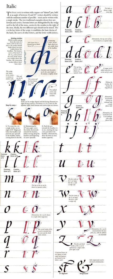 Italic Calligraphy Alphabet Fonts, Italic Calligraphy Alphabet, Lettering Calligraphy Alphabet, Italics Calligraphy, Italic Alphabet, Italic Lettering, Italic Calligraphy, Alphabet Calligraphy, Calligraphy Letters Alphabet