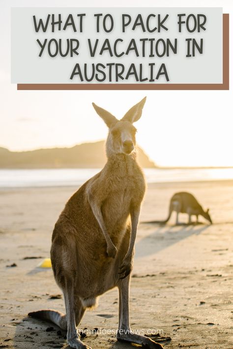 Australia Packing List, Neck Wallet, Australia Vacation, Waterproof Phone Case, Easy Travel, Camping Equipment, What To Pack, Australia Travel, Summer Holiday