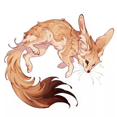 |#tattoo #handtattoo #tattoos #tattookit #tattookits #tattookitsforbeginners #tattoocarekit 305 Zorro Fennec, Fuchs Baby, Fox Drawing, Fennec Fox, Canine Art, 문신 디자인, Arte Inspo, Mythical Creatures Art, Fox Art