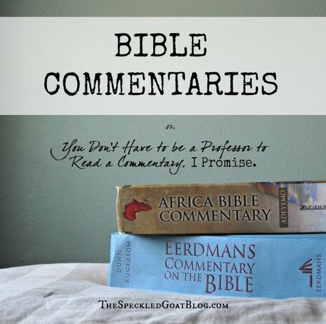 Bible Commentaries, Encouragement For Today, College Books, Bible Commentary, Personal Bible Study, Freshman Year College, Bible Time, Faith Inspiration, Christian Blogs