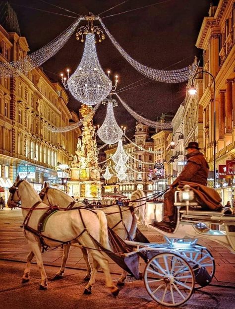 Christmas in Vienna Vienna Winter, Berlin Winter, Budapest Christmas, Austria Winter, Vienna Christmas, Christmas Dreaming, Christmas In Europe, Christmas Photoshoot, Beautiful Photos Of Nature