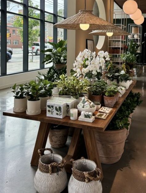 Open A Plant Shop, Plant Store Display, Garden Station, Store Display, House Design, Plants, Design