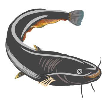 ikan,ikan lele,satwa,kartun,ilustrasi ikan,ikan lucu,kartun ikan,akuatik,rancangan,alam,penangkapan ikan,laut,ikan berwarna,ikan laut,imut,segar,pescado,makanan,digambar tangan,akuarium,makanan laut,hari ikan lele nasional,air,pecel lele,berenang,margasatwa,grafis,ilustrasi,vektor,sungai,terpencil,bawah air,menggambar,ikan salmon,liar,mengatur,antik,seni,koleksi,retro,hitam,air tawar,elemen,fauna,nelayan,logo,tidak bisa,predator,digambar,menangkap Ikan Lele Logo, Lele Ikan, Ikan Salmon, Ikan Lele, Font Aesthetic, Ikan Air Tawar, Bawah Air, Air Tawar, Animal Png