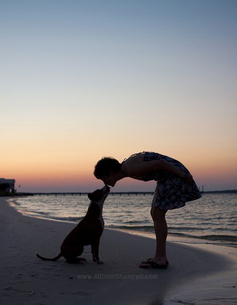 Kai the pit bull and her owner, on the beach at sunset - © Allison Shamrell Photography Dog Owner Photography, Beach Dog Photos, Dog Photoshoot Pet Photography, Dogs Photography, Perfect Sunset, Dog Mommy, Multiple Dogs, Dog Photoshoot, Beach At Sunset