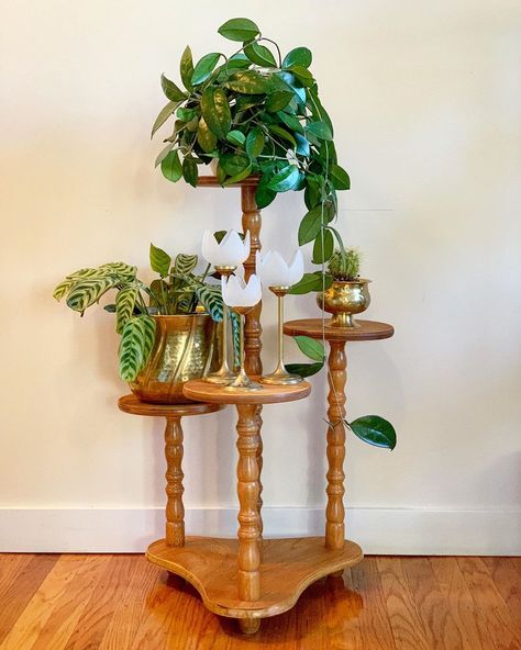 Mcm Plant Stand, Vintage Plant Stand, Wood Plant Stand, Plant Stand Indoor, Mid Century Mod, Plant Stands, Spare Room, Apartment Therapy, Plant Stand