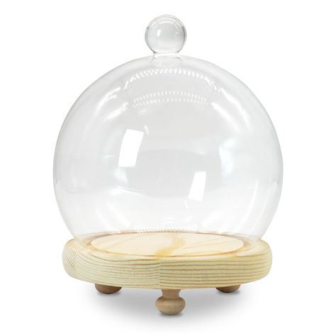 PRICES MAY VARY. The size is D5.9"x H7.1"(D15xH18CM), bottom opening size 4", please note the inner diameter of the glass dome cloche, so that the stuffing size is not too large to fit Our ball jar dome is perfect to display fairy lights, Christmas scene, Flower, Jewelry, wedding bouquet, Necklace etc and it is a way to protect your items also Made of high transparency glass and wooden base, the glass is smooth and not easily scratched and the base has 3 support points to keep the support stable Seashell Cloche, Globe Display, Cloche Display, Cloche Decor, Glass Dome Cloche, Cake Stand With Dome, Ball Jar, Glass Cloche, Lights Christmas