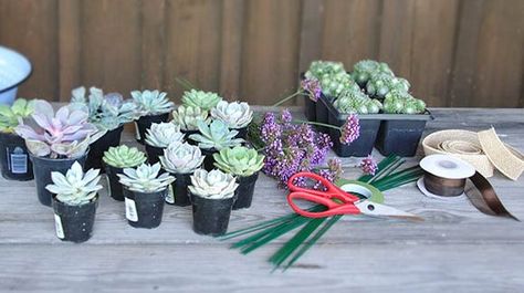 How To Make A Succulent Bouquet, Diy Succulent Wedding Bouquet, Succulent Bouquet Diy, Succulent Wedding Bouquet, Succulent Arrangements Diy, Plant Studio, Terrarium Shop, Hood Wedding, Succulent Wedding Cakes