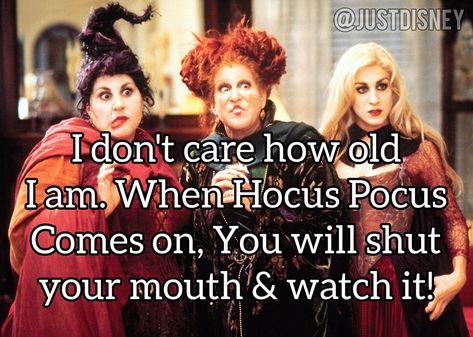 Just A Bunch Of Hocus Pocus, Hocus Pocus Aesthetic, Hocus Pocus Quotes, Hocus Pocus 1993, Hocus Pocus Movie, Halloween Collage, Halloween Memes, Fan Girling, Disney Collage