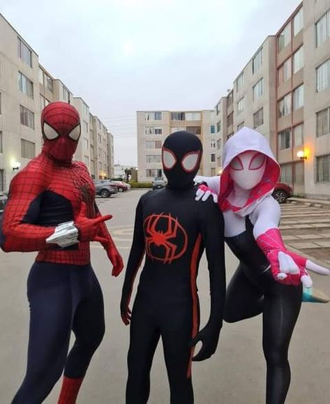 3 People Matching Pfp Spiderman, Batman And Spiderman Halloween Costume, Trio Spiderman Costumes, Duo Halloween Costumes Spiderman, Spiderman Matching Costumes, Spider Man Trio Costume, Spiderman Trio Costumes, Halloween Costumes For Siblings Of 3, Marvel Trio Costumes