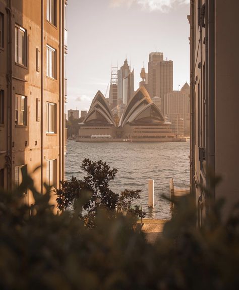 Sydney Astethic, Australia Aestethic, Sydney Australia Aesthetic, Australian Aesthetic, Sydney Aesthetic, Australia Aesthetic, Houses By The Beach, Australia Trip, City Baby