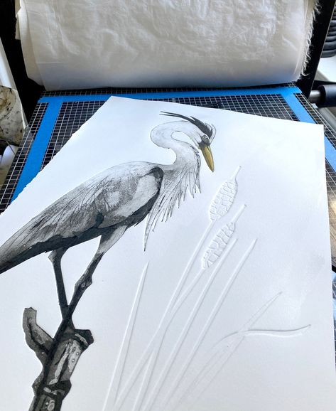 * sold out * The new Great Blue Heron Collagraph has been such a joy to work on - I have a feeling there will be more studies of the Heron appearing soon as it’s such a great shape to work with - I have managed to get a very small edition of just 12 printed before the plate is too tired and falling apart so it keeps the prints special and rare. Now listed on my website (link in bio) Happy printmaking Jenny #collagraph #collagraphprint  #artwork #printmaker  #artwork #printmakersofinstagra... Jenny Mccabe, Bio Happy, Great Blue Heron, Too Tired, Blue Heron, Website Link, Working On Myself, All Art, Printmaking